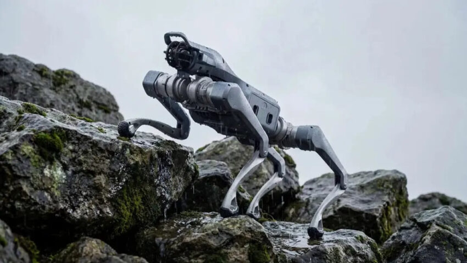 Tekerlekli robot