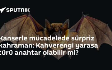 kanser