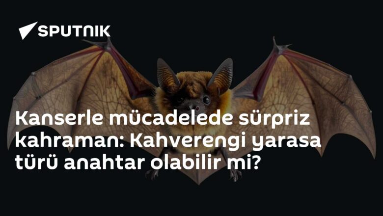 kanser