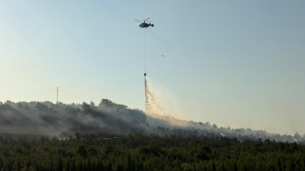 Çanakkale orman yangını