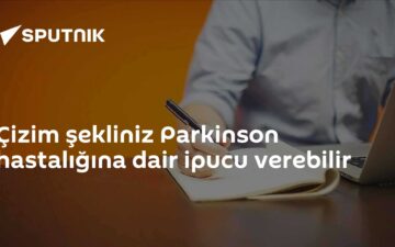 yapay zeka