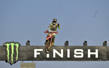 Herlings