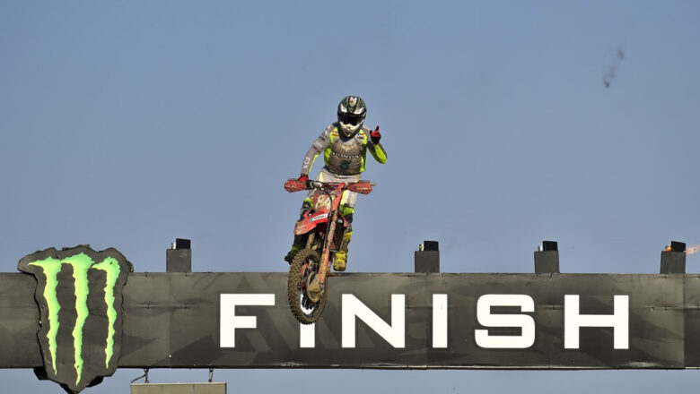 Herlings